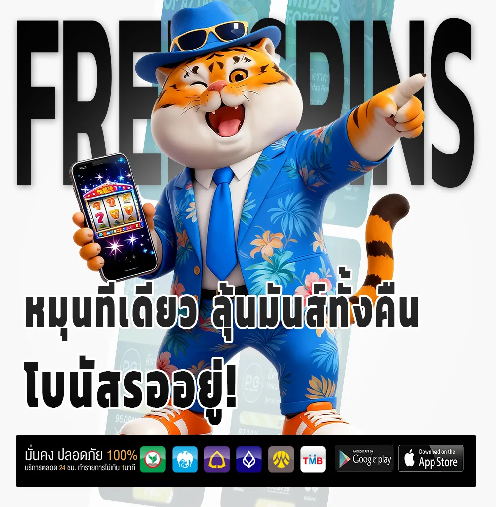 เว็บ phoebe link